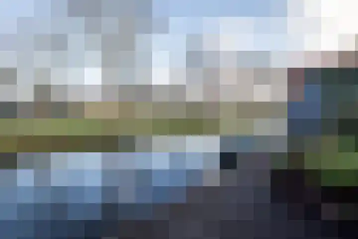 De Fluter 11 Hoogkarspel thumbnail 29