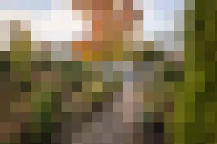 De Fluter 11 Hoogkarspel thumbnail 31