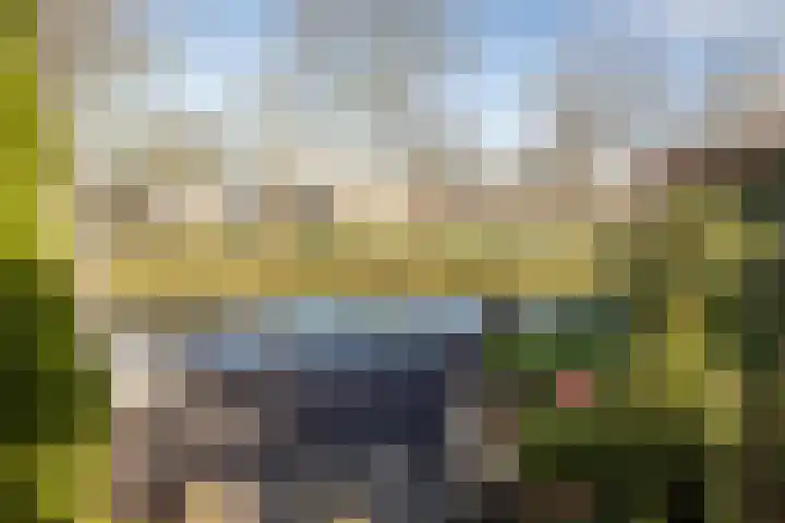 De Fluter 11 Hoogkarspel thumbnail 34