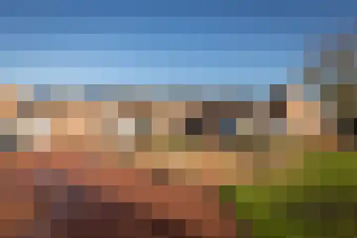 De Fluter 11 Hoogkarspel thumbnail 35