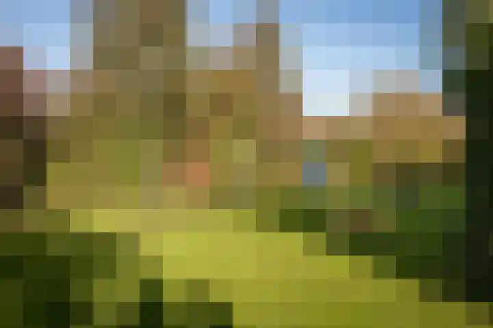 De Fluter 11 Hoogkarspel thumbnail 37