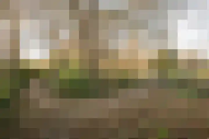 De Fluter 11 Hoogkarspel thumbnail 38