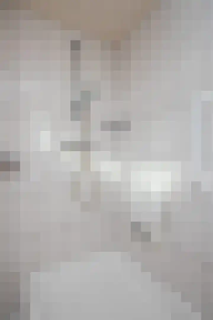 De Fluter 11 Hoogkarspel thumbnail 48