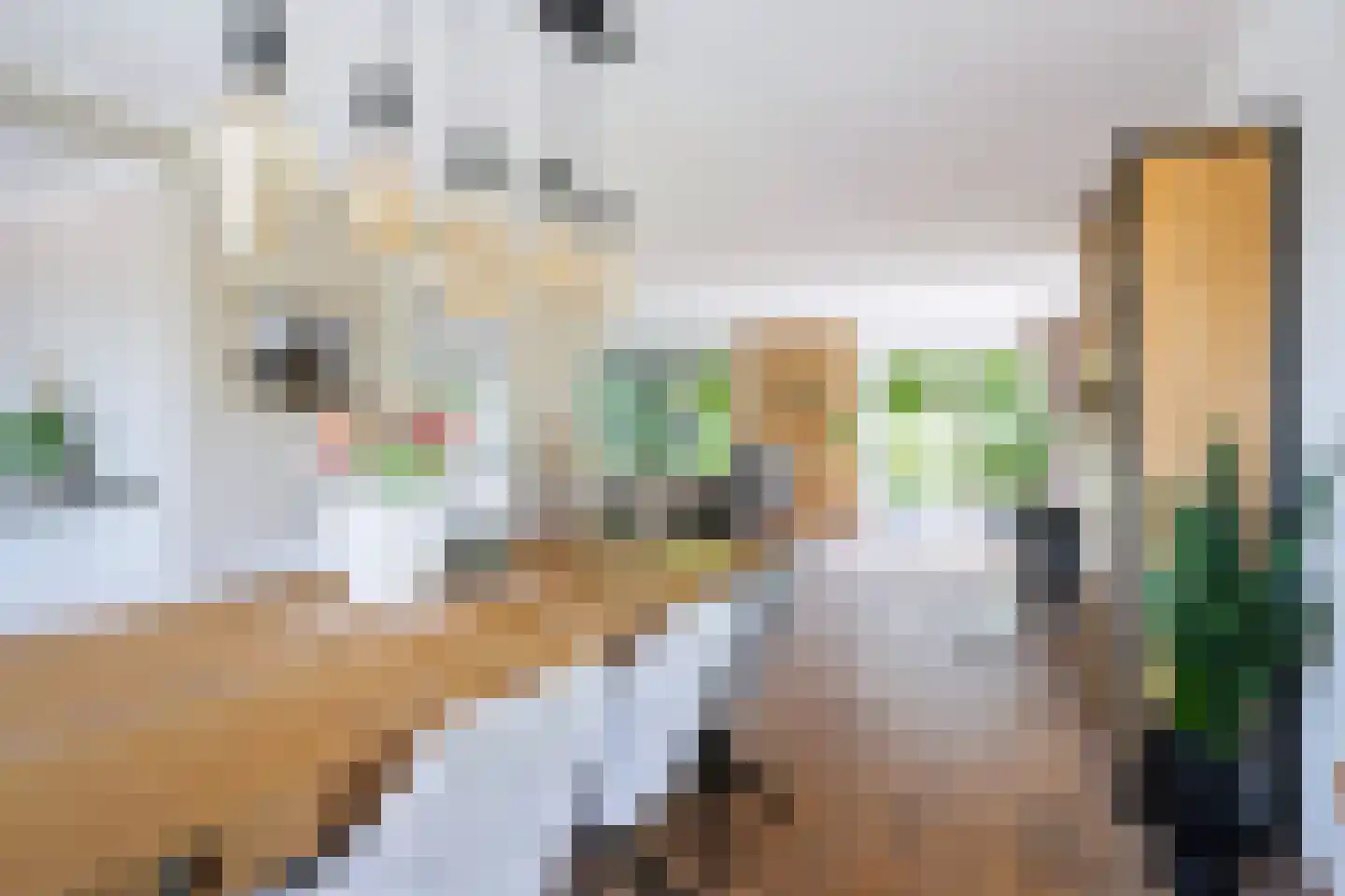 De Foarn 10 Grou thumbnail 14