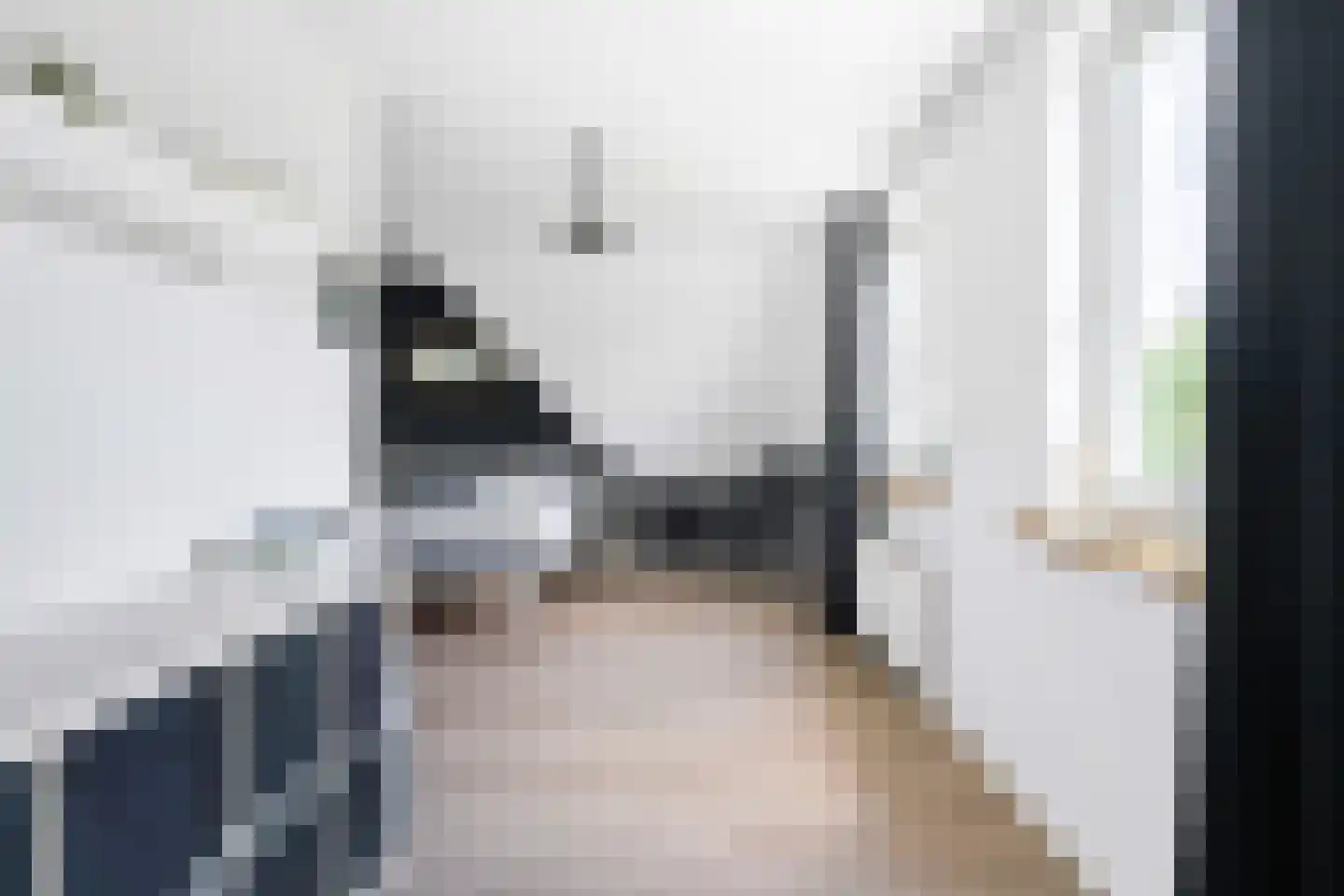 De Foarn 10 Grou thumbnail 32