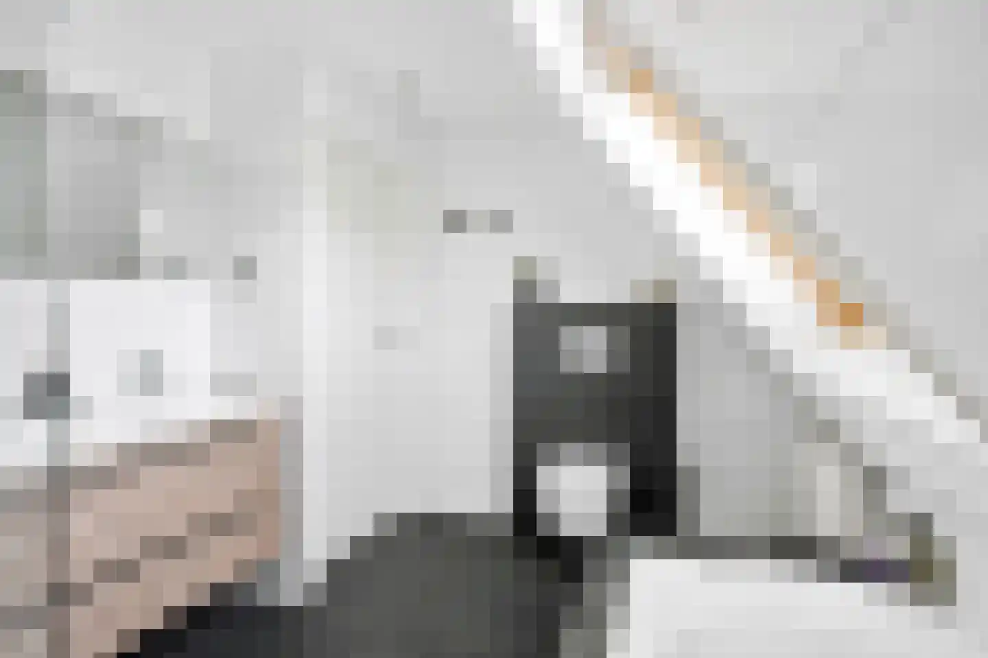 De Foarn 10 Grou thumbnail 34
