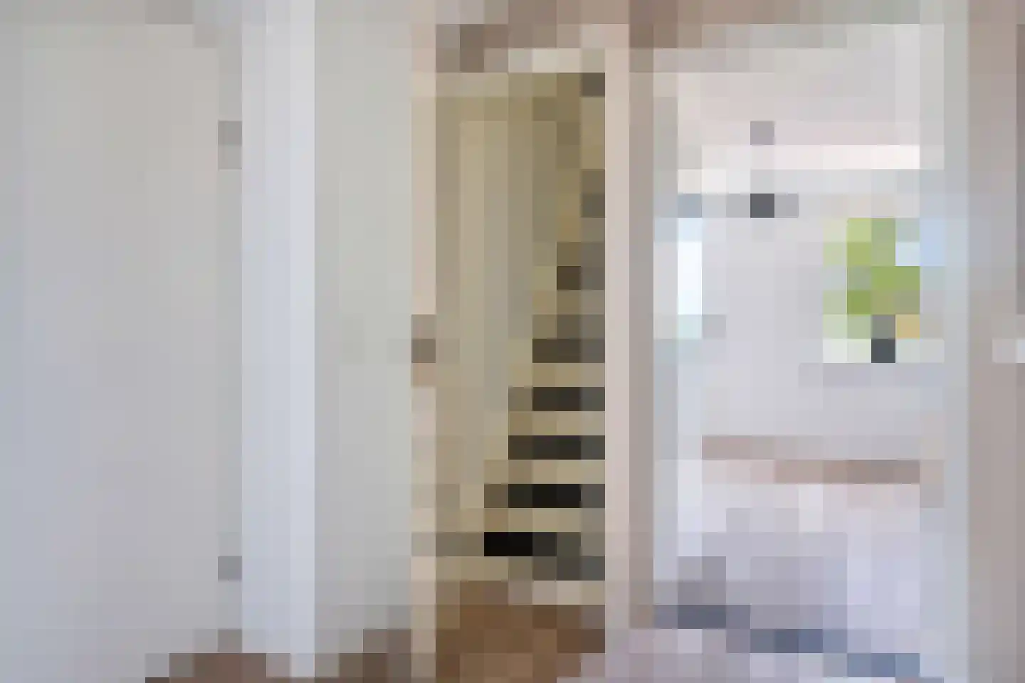 De Foarn 10 Grou thumbnail 38