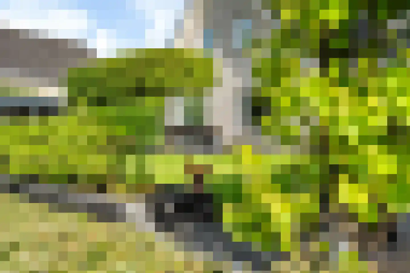 De Foarn 10 Grou thumbnail 41