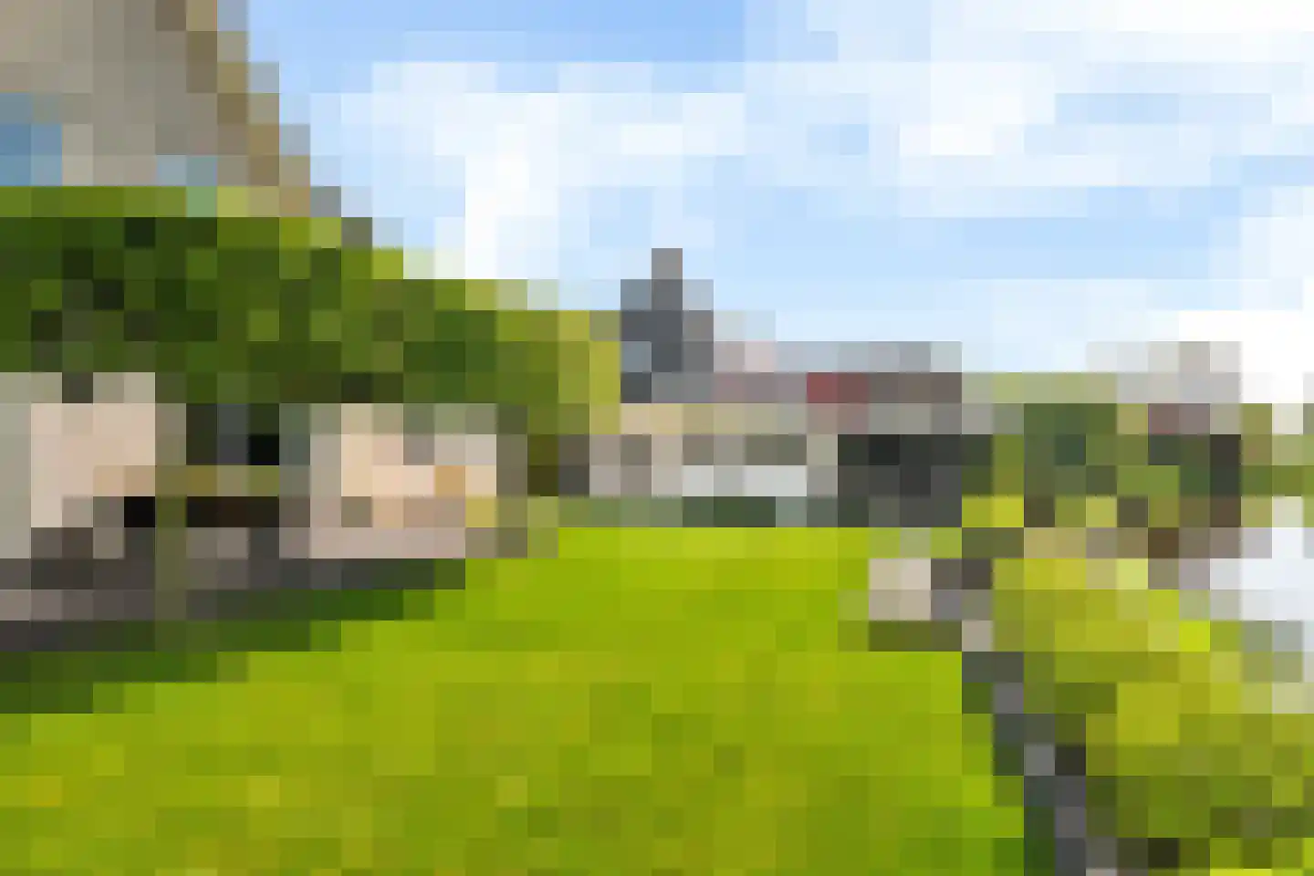 De Foarn 10 Grou thumbnail 42