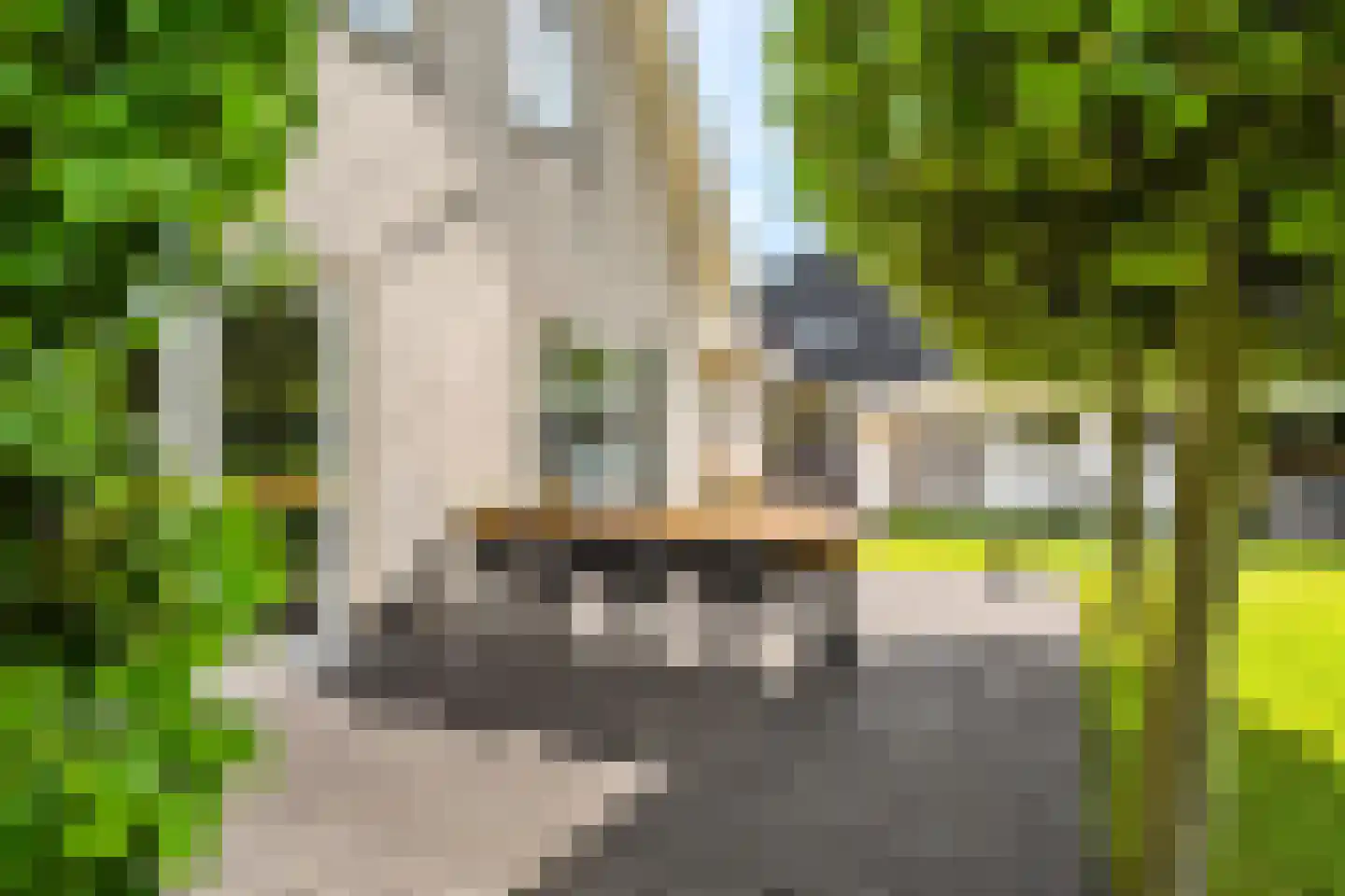 De Foarn 10 Grou thumbnail 43