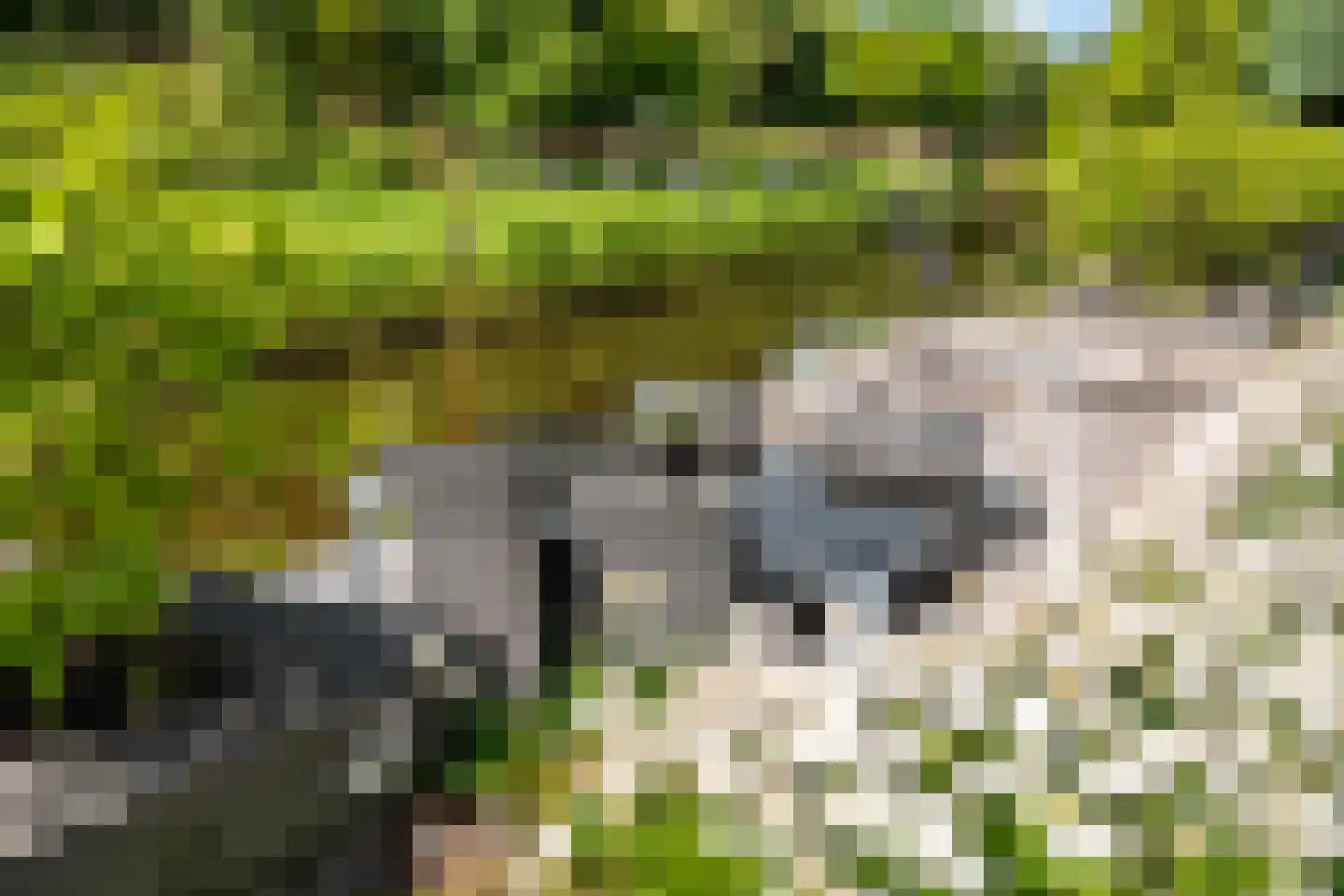 De Foarn 10 Grou thumbnail 45