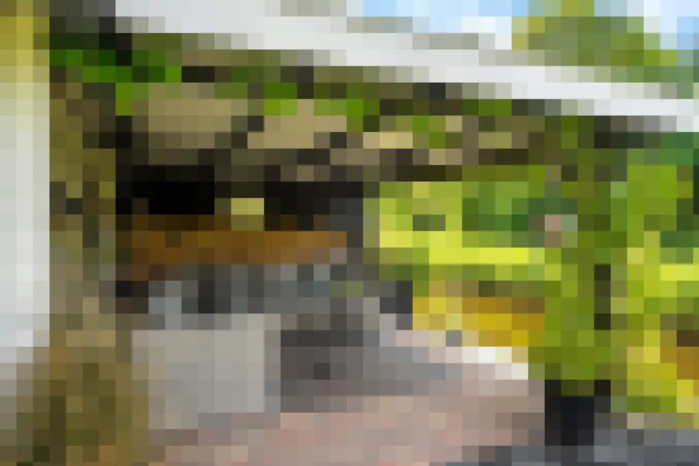 De Foarn 10 Grou thumbnail 46