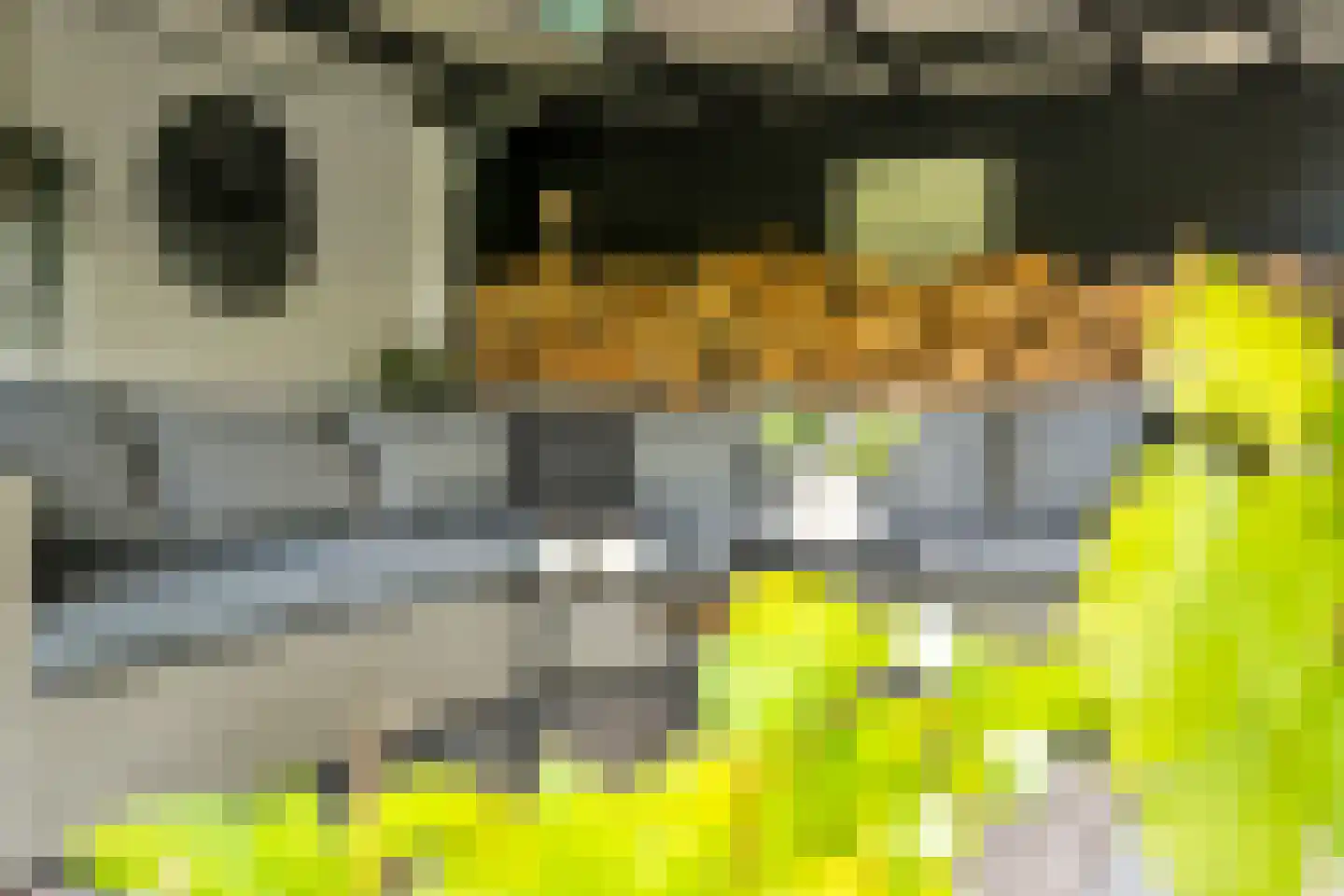 De Foarn 10 Grou thumbnail 47