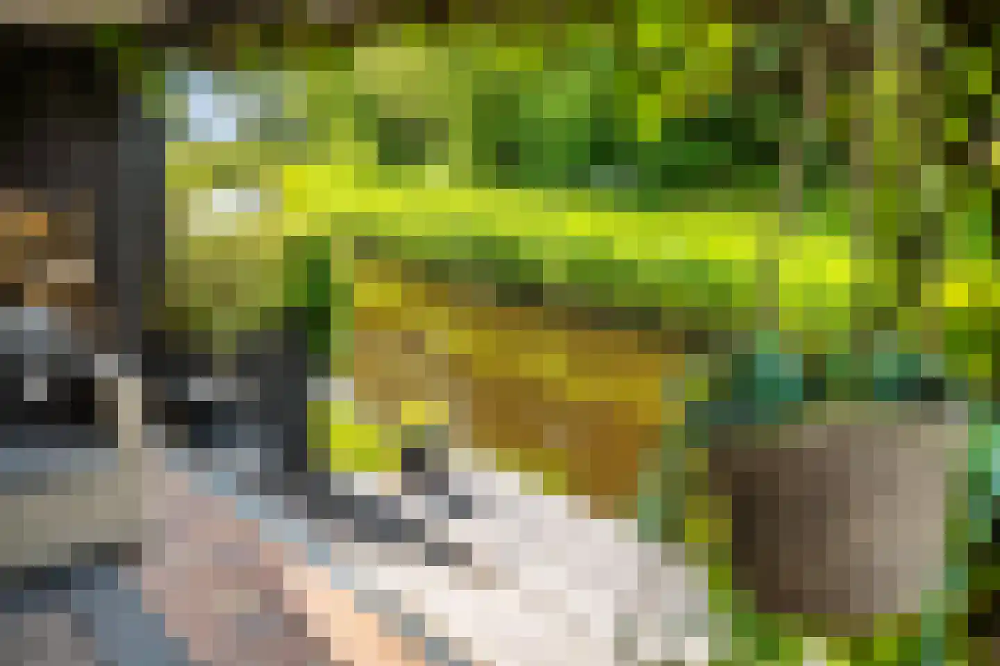 De Foarn 10 Grou thumbnail 48