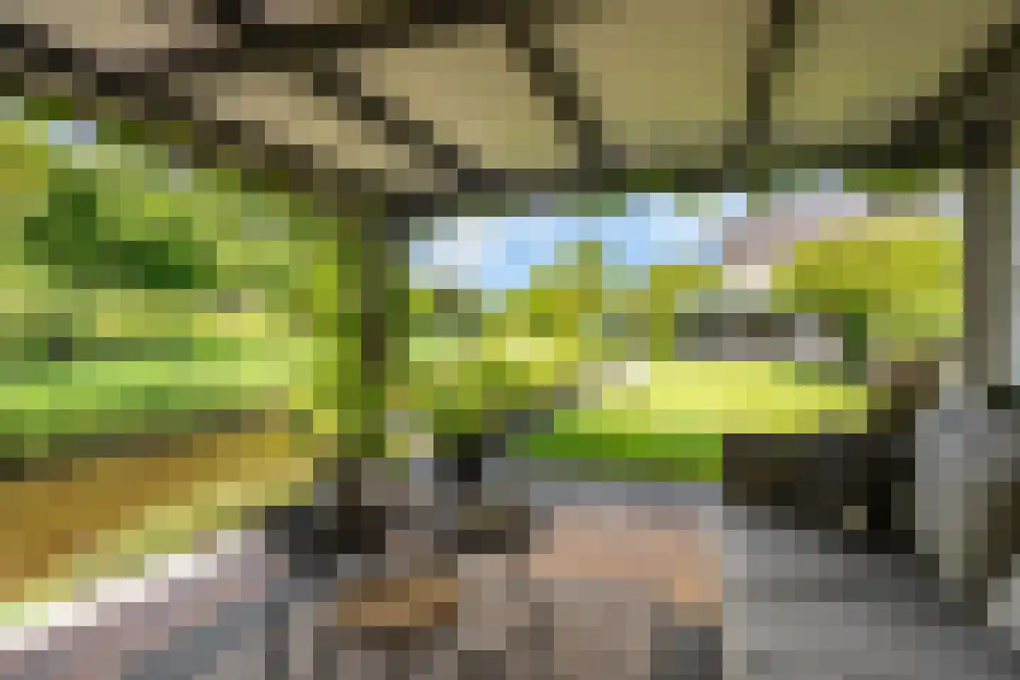 De Foarn 10 Grou thumbnail 49