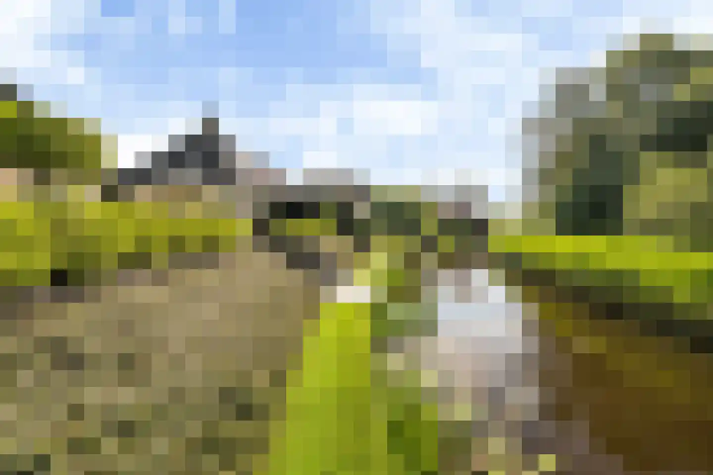 De Foarn 10 Grou thumbnail 50