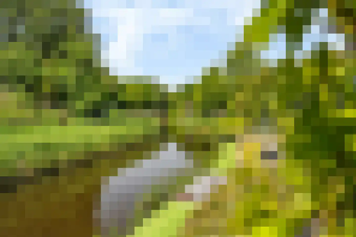 De Foarn 10 Grou thumbnail 51