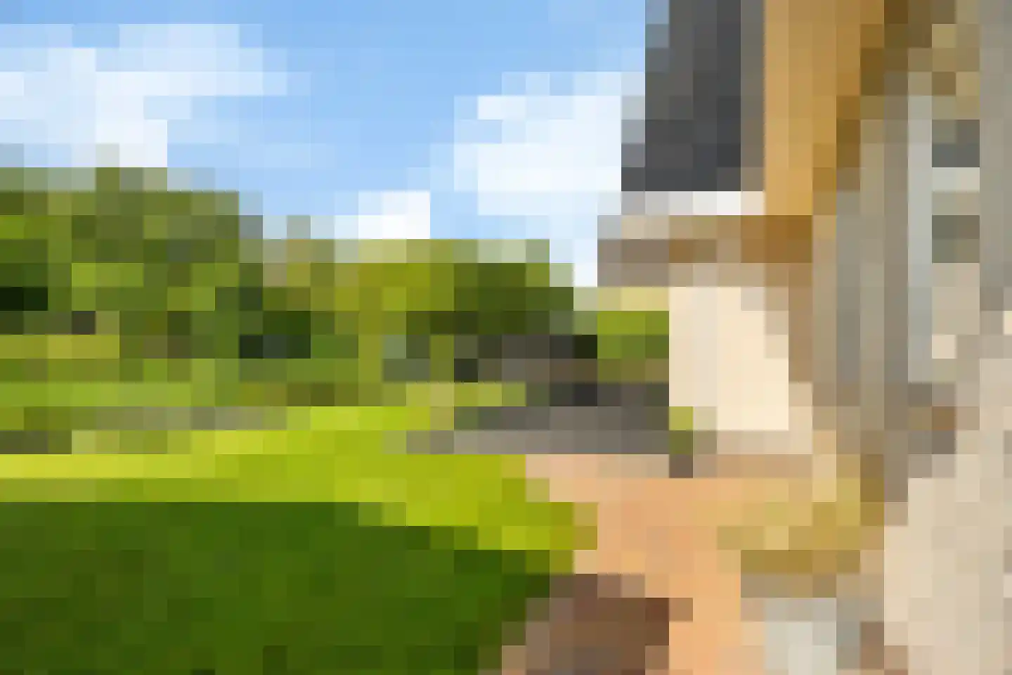 De Foarn 10 Grou thumbnail 52