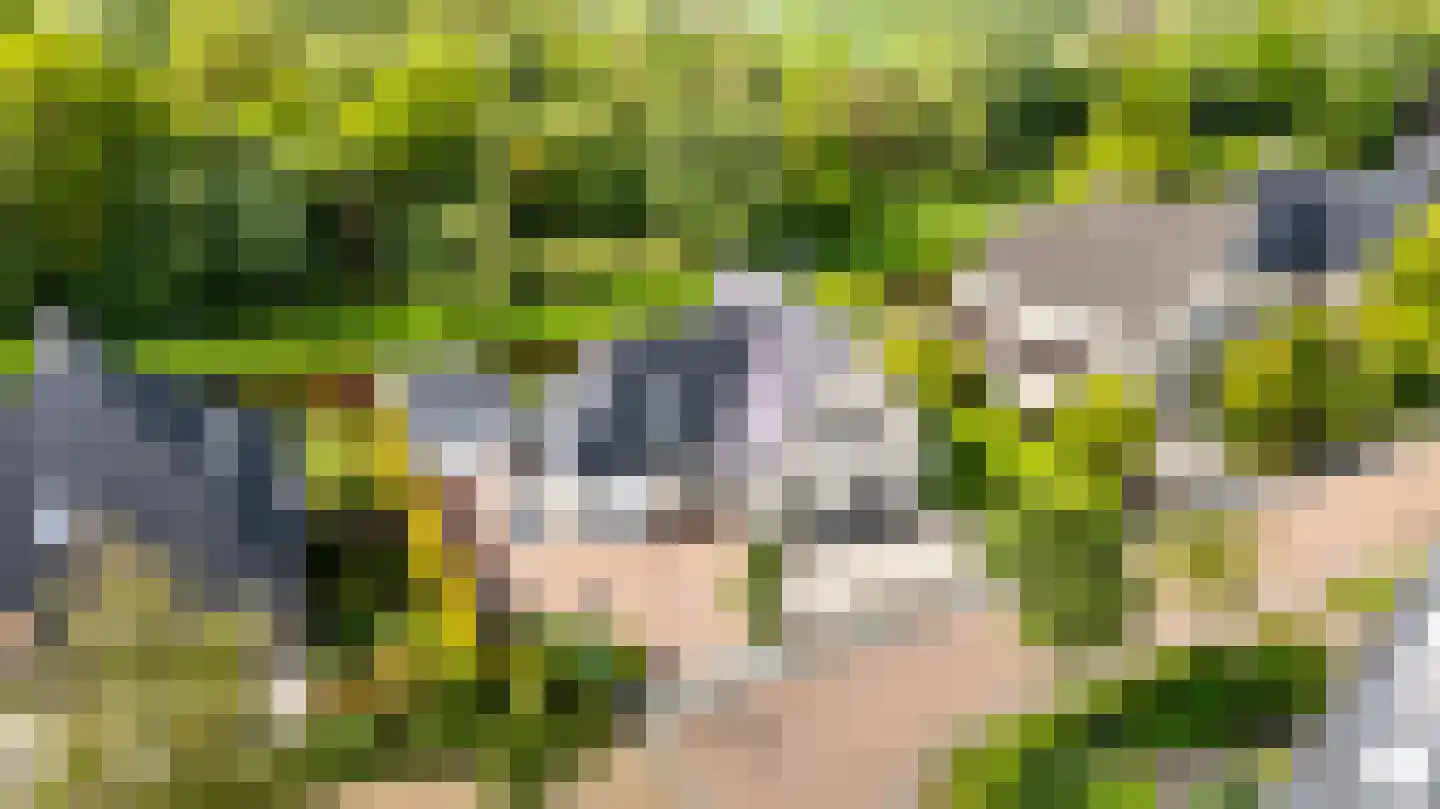 De Foarn 10 Grou thumbnail 58