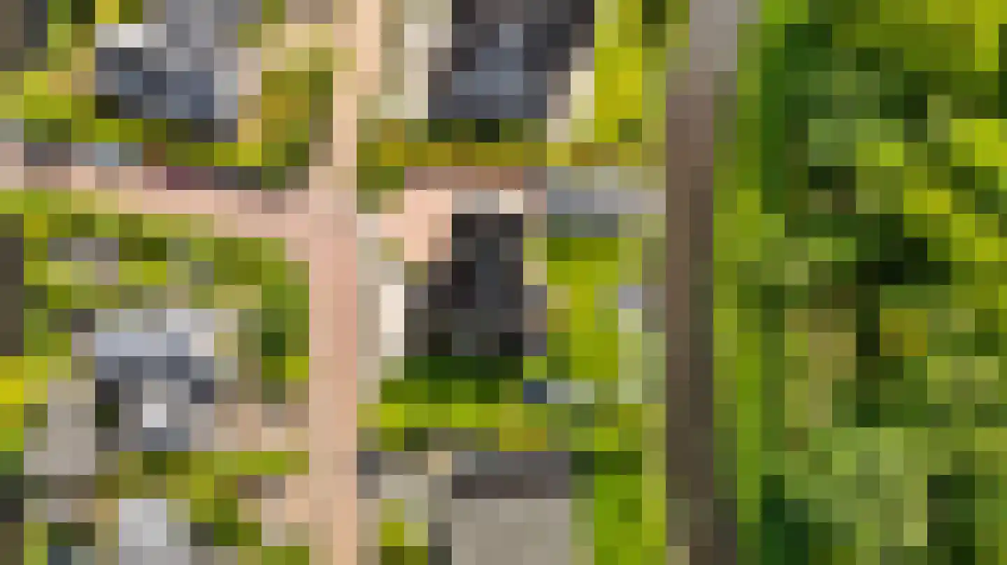 De Foarn 10 Grou thumbnail 59