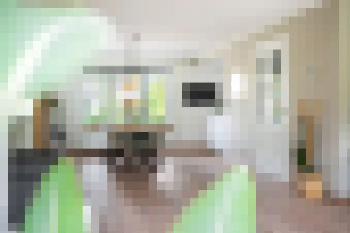 De Foarn 10 Grou thumbnail 6