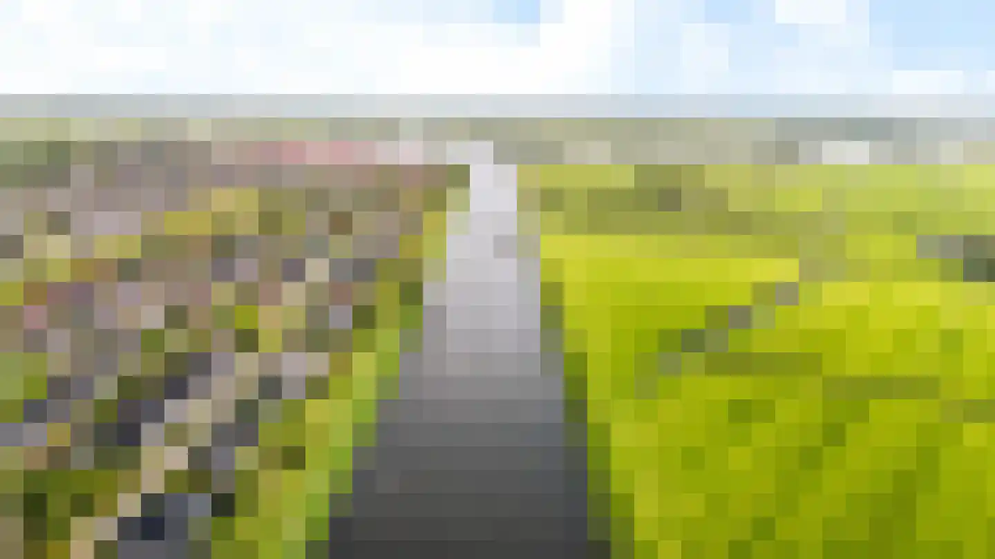 De Foarn 10 Grou thumbnail 60