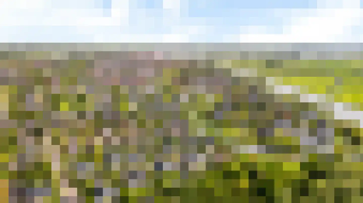 De Foarn 10 Grou thumbnail 61