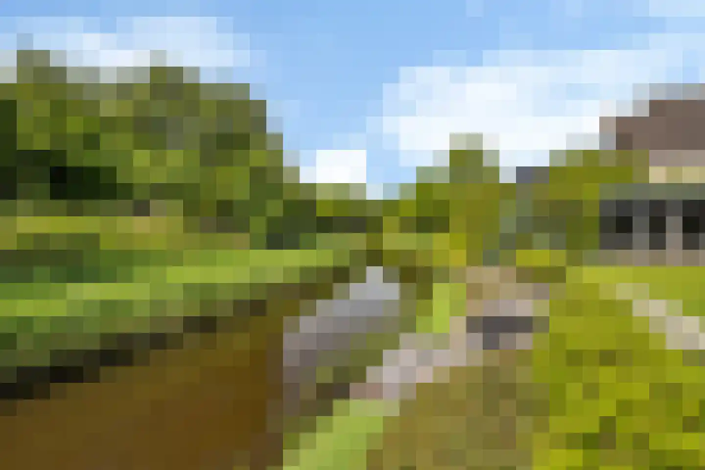 De Foarn 10 Grou thumbnail 62