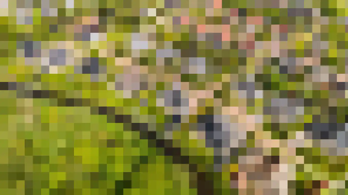 De Foarn 10 Grou thumbnail 63