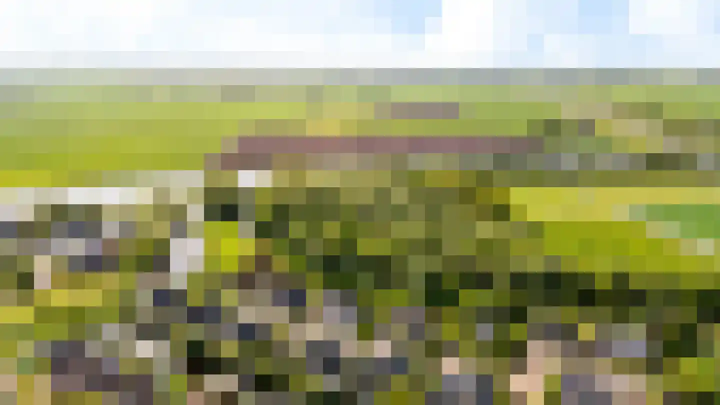 De Foarn 10 Grou thumbnail 64