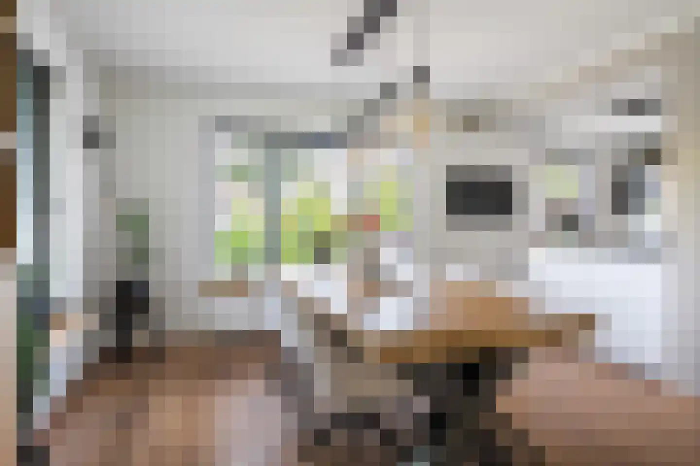 De Foarn 10 Grou thumbnail 7