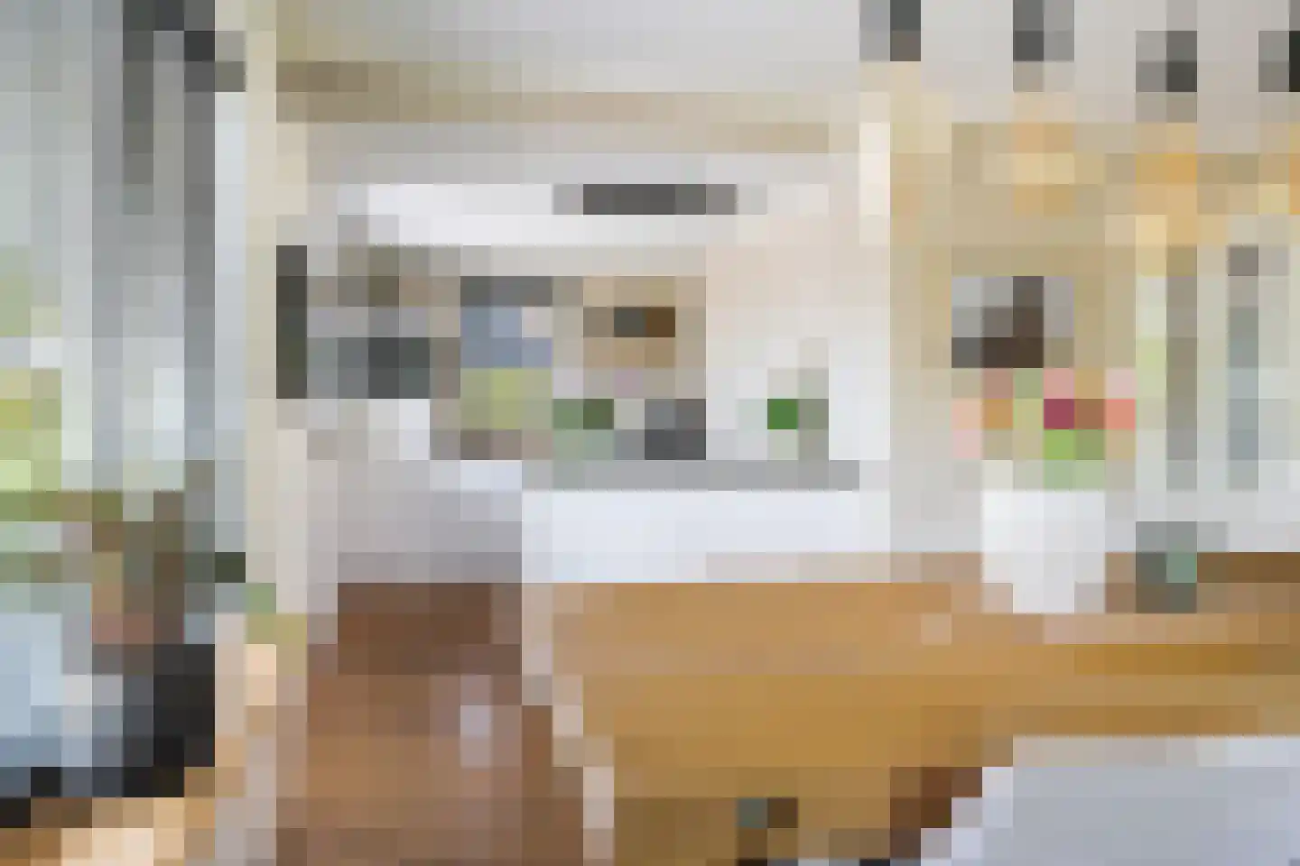 De Foarn 10 Grou thumbnail 8