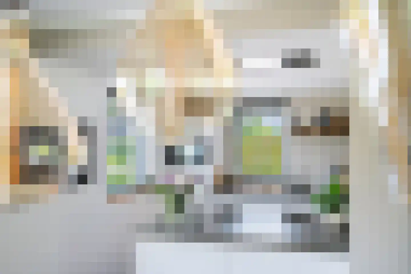 De Foarn 10 Grou thumbnail 9