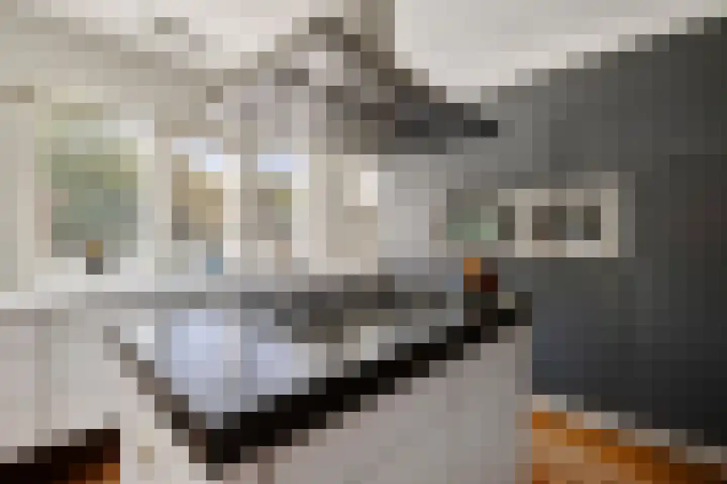 De Foarn 8 Grou thumbnail 13