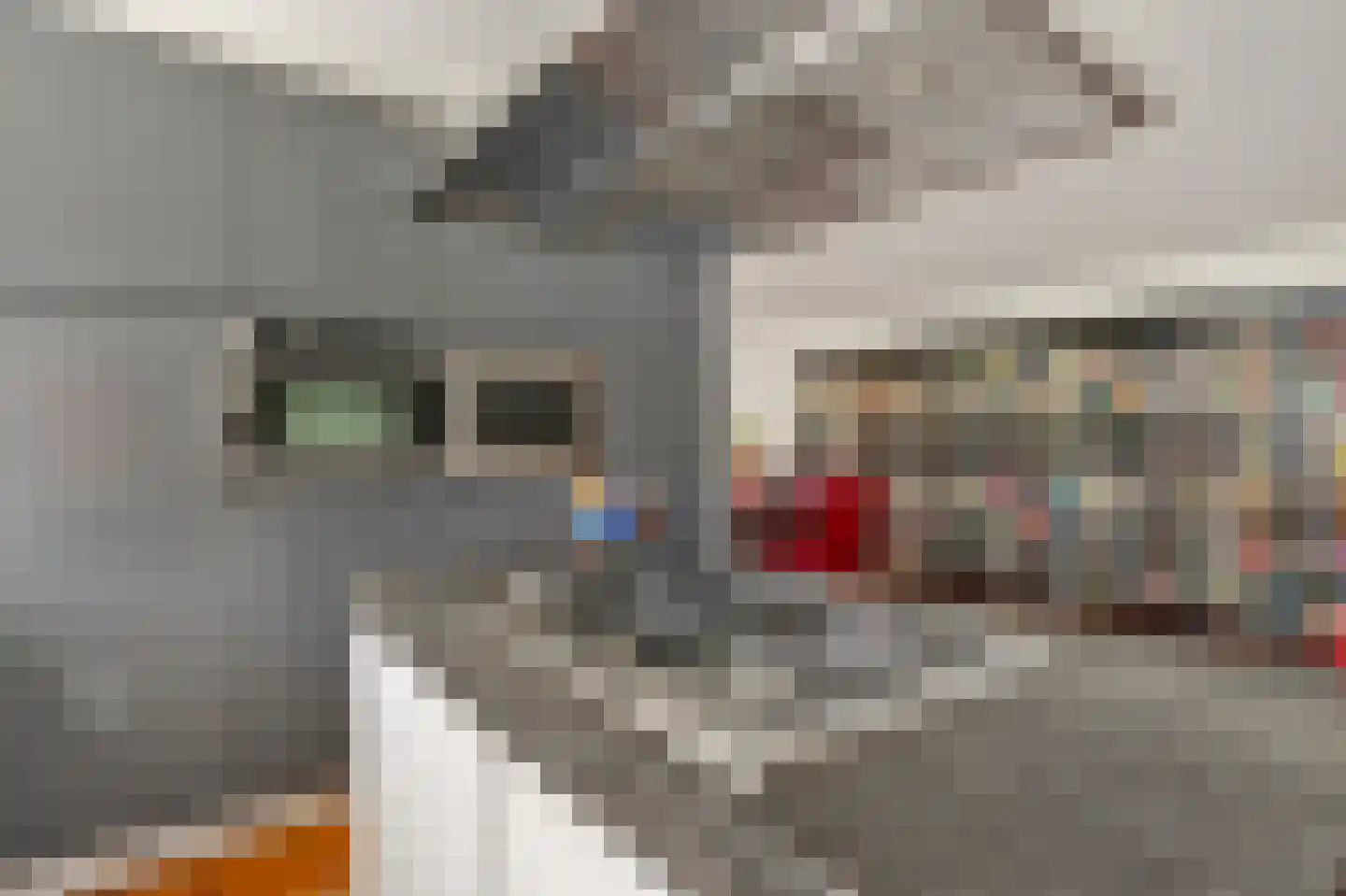 De Foarn 8 Grou thumbnail 14