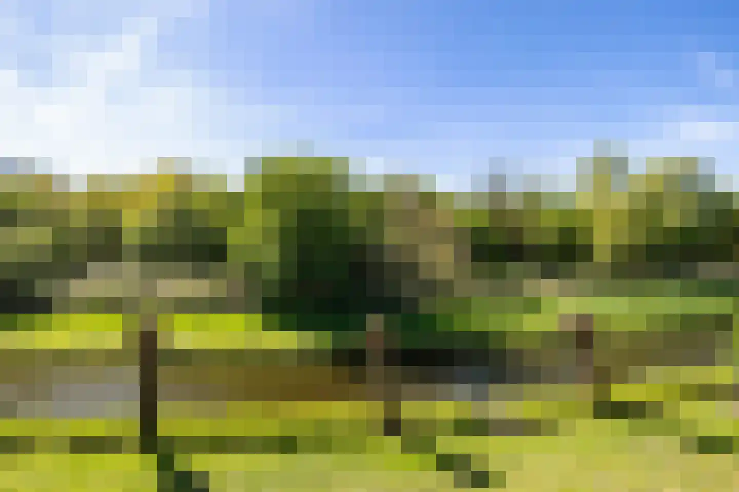 De Foarn 8 Grou thumbnail 31