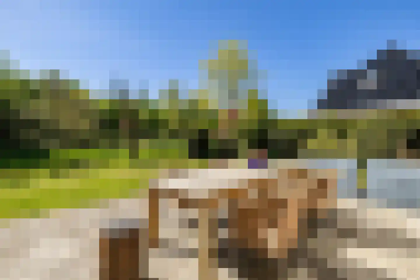 De Foarn 8 Grou thumbnail 38