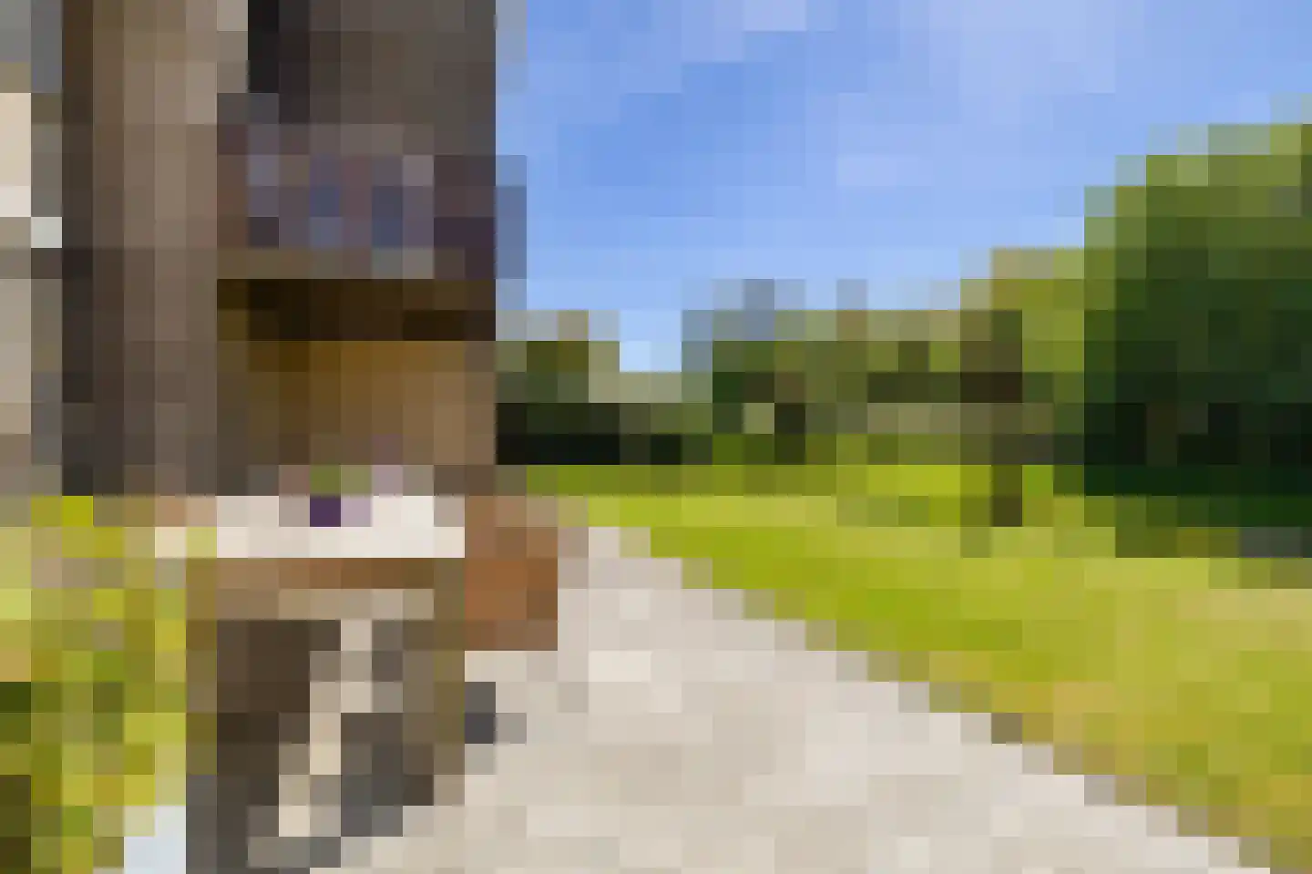 De Foarn 8 Grou thumbnail 39