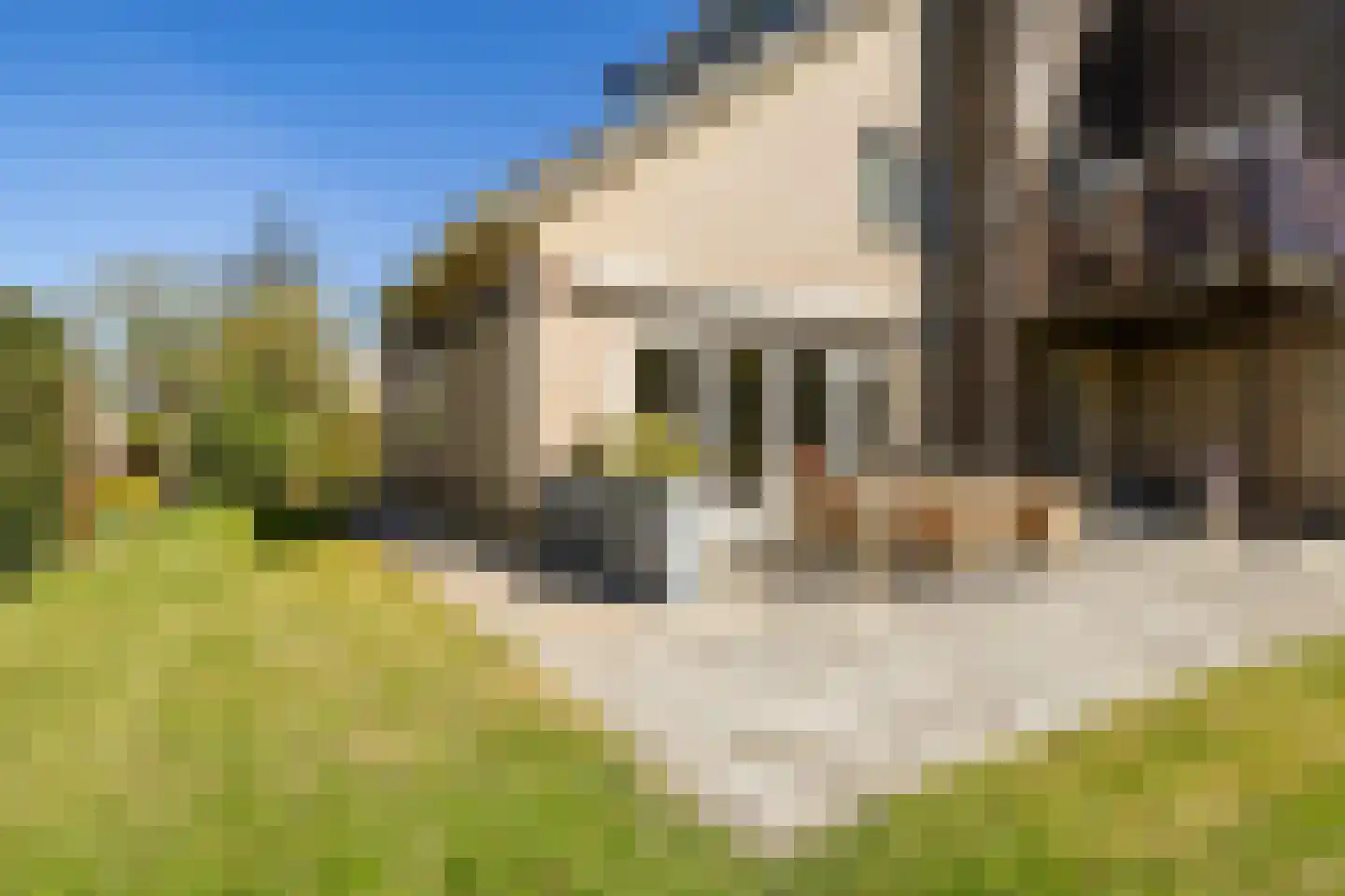 De Foarn 8 Grou thumbnail 40