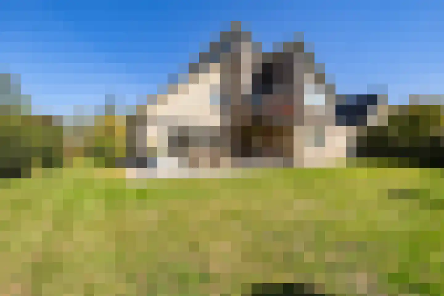 De Foarn 8 Grou thumbnail 41