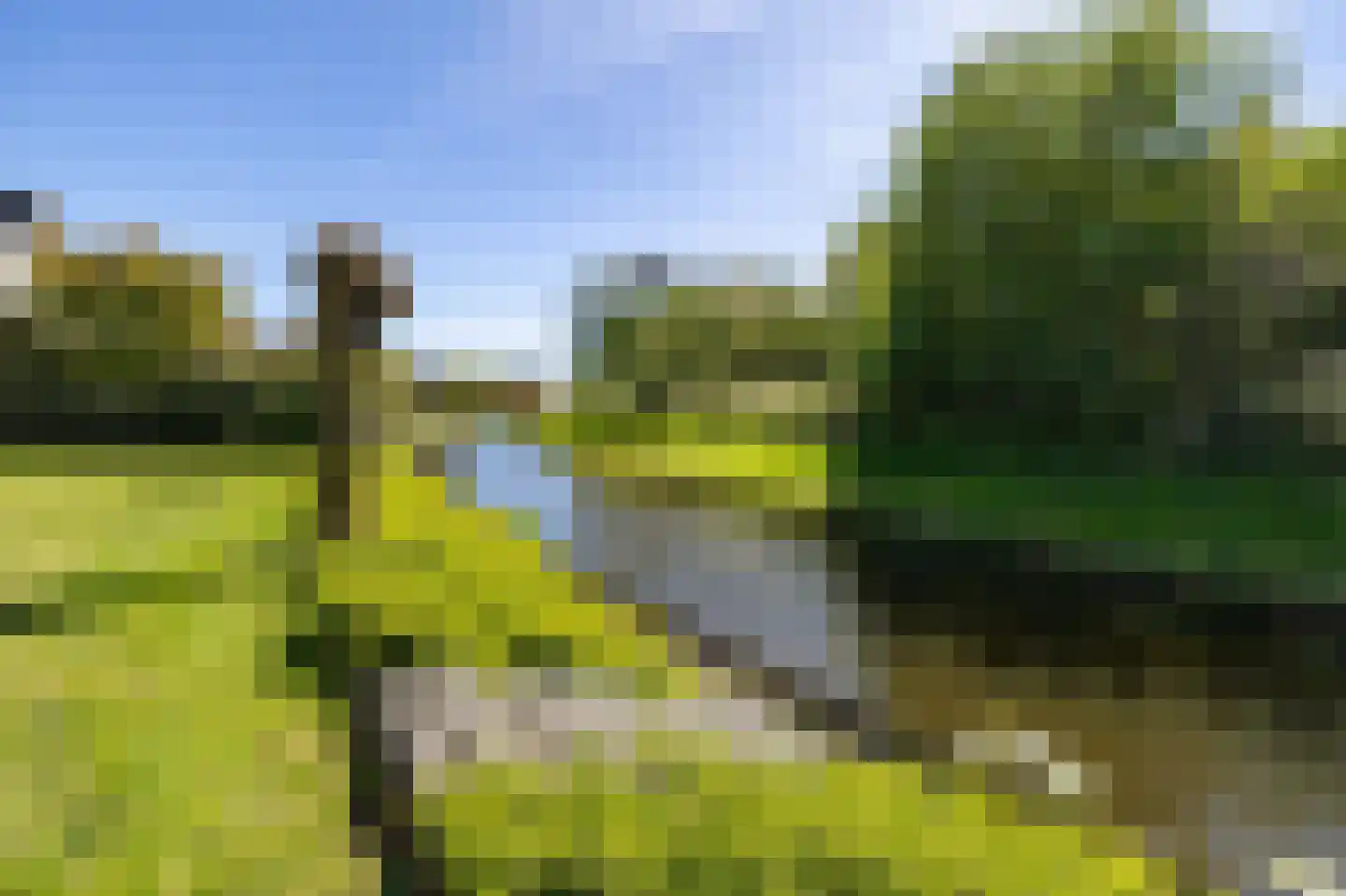De Foarn 8 Grou thumbnail 42