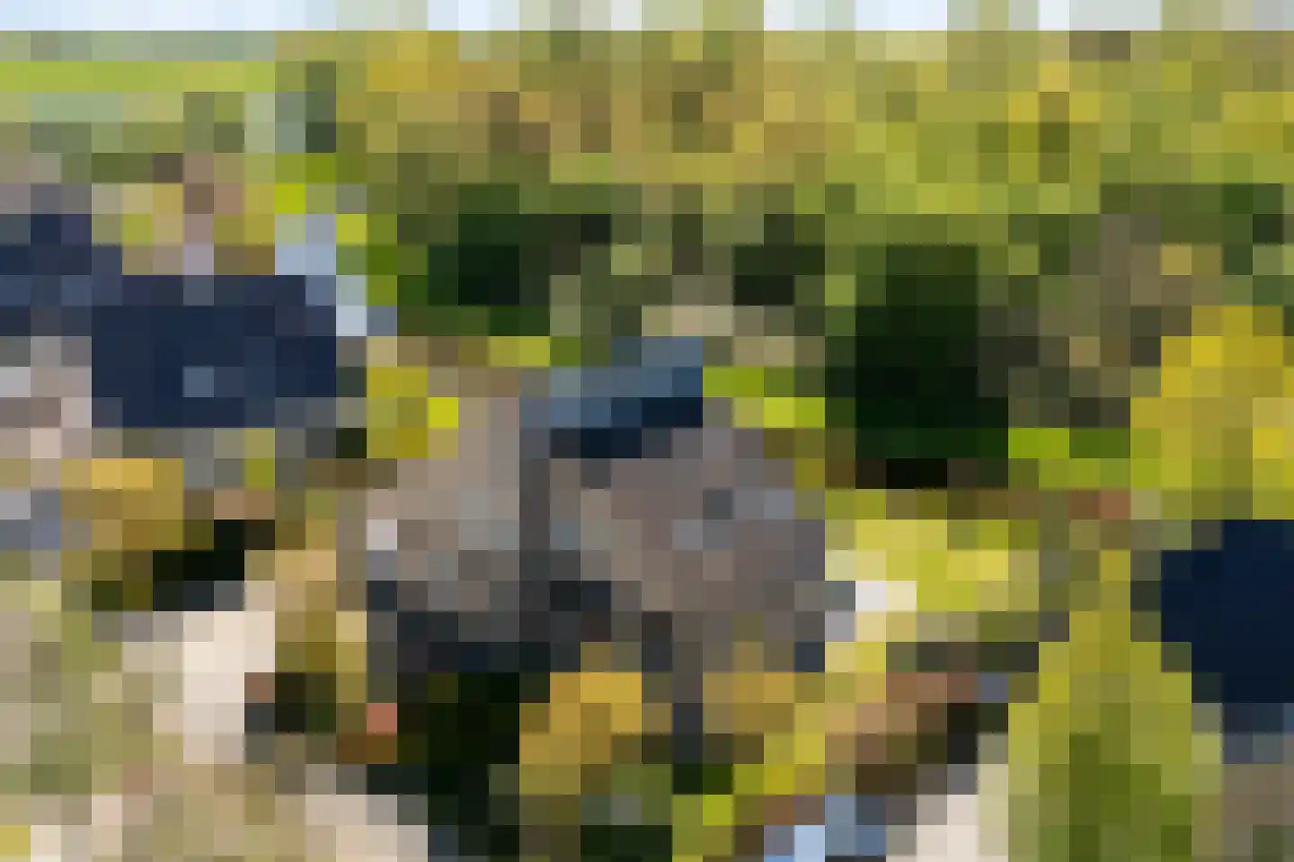 De Foarn 8 Grou thumbnail 45
