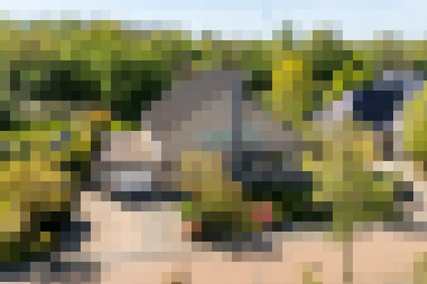 De Foarn 8 Grou thumbnail 46