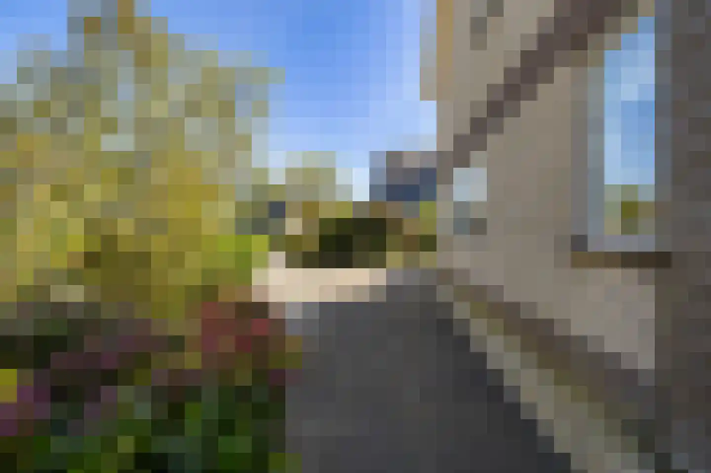 De Foarn 8 Grou thumbnail 50
