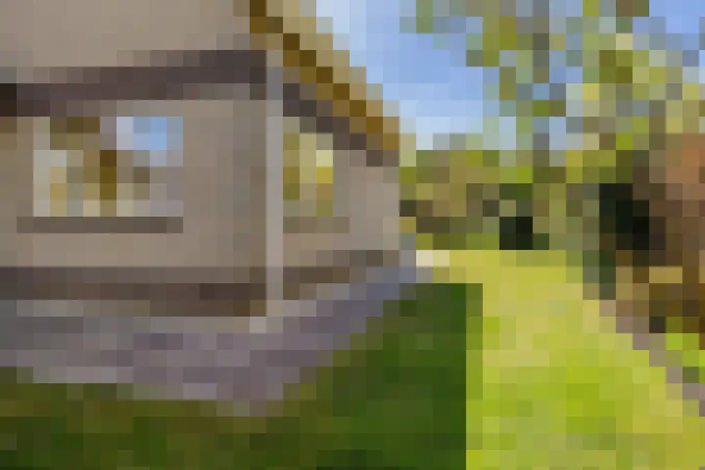 De Foarn 8 Grou thumbnail 51