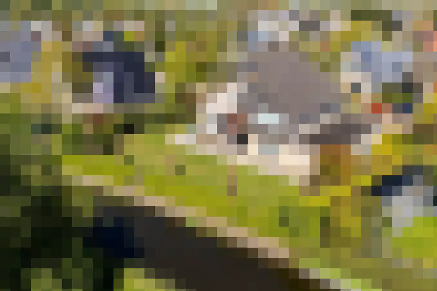De Foarn 8 Grou thumbnail 53
