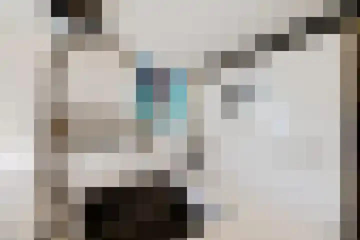 De Foarplecht 2 Hallum thumbnail 10