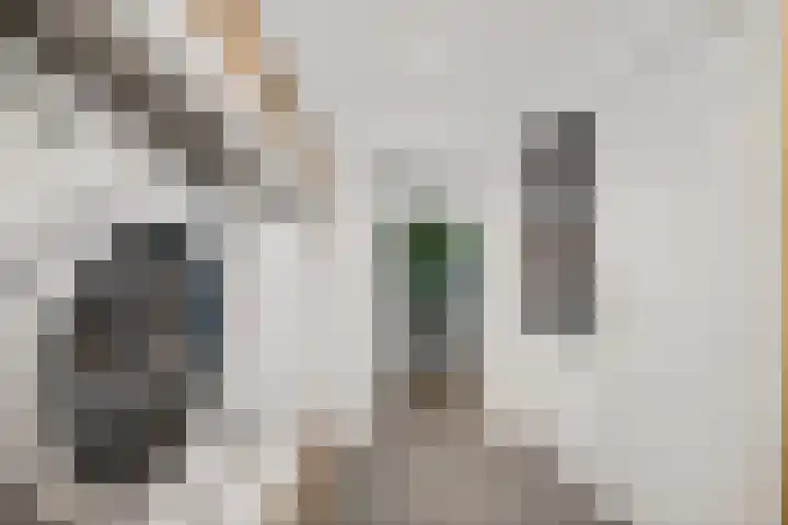 De Foarplecht 2 Hallum thumbnail 12