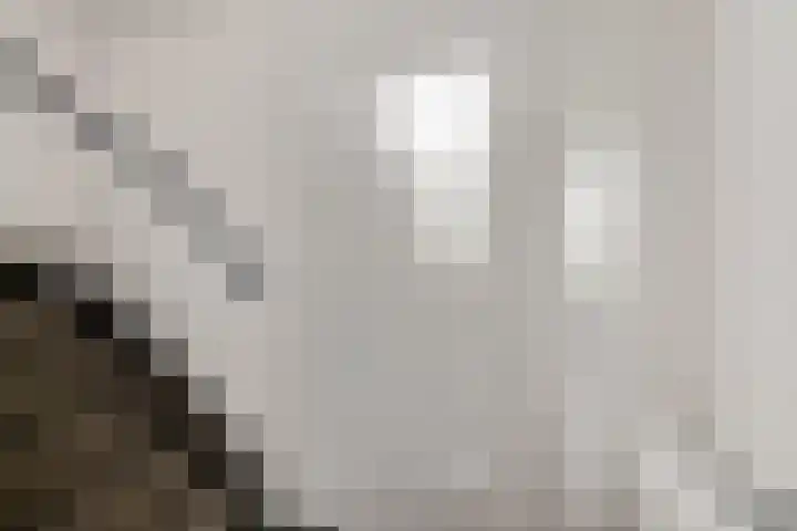 De Foarplecht 2 Hallum thumbnail 18