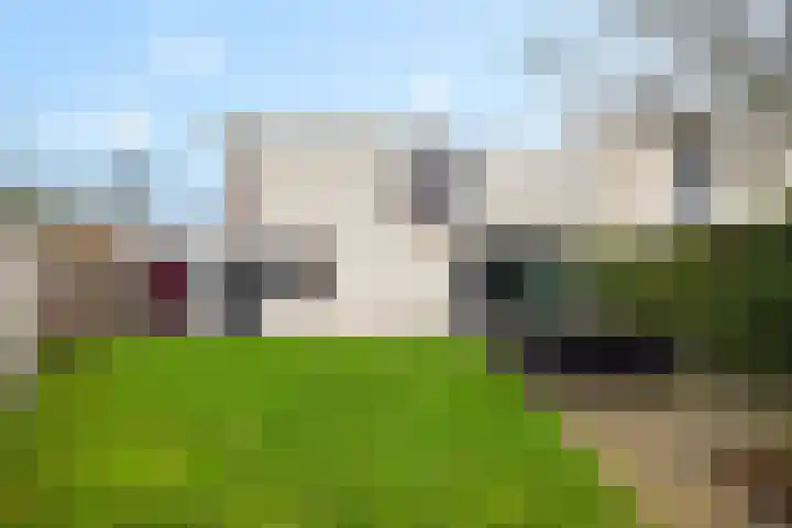 De Foarplecht 2 Hallum thumbnail 32
